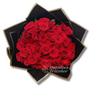 Rosas-50